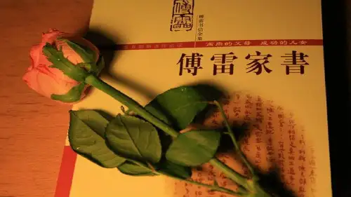 人教部编版八年级语文下第三单元名著导读《傅雷家书》：选择性阅读教学课件 (共33张PPT)
