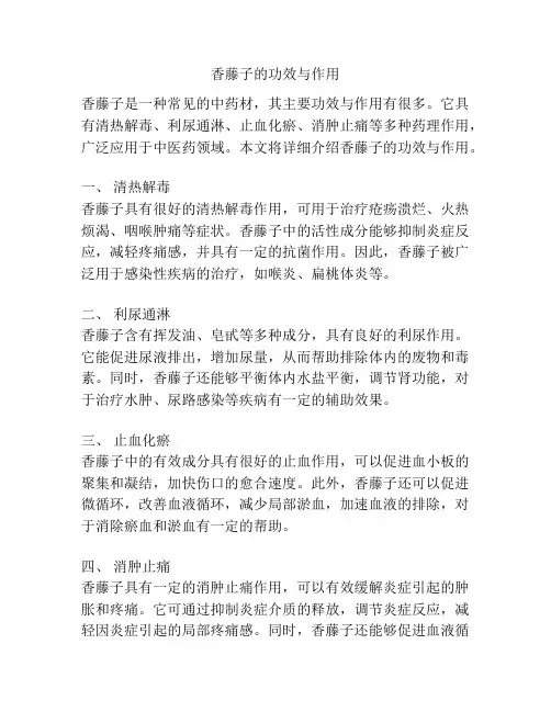 香藤子的功效与作用