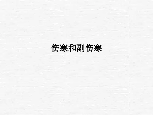 伤寒和副伤寒PPT课件