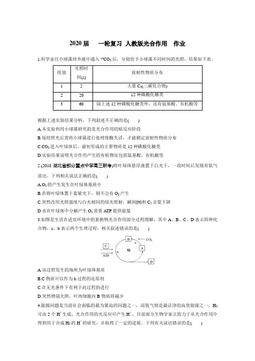 2020届高中生物一轮复习人教版光合作用作业含答案