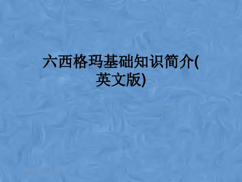 六西格玛基础知识简介(英文版)