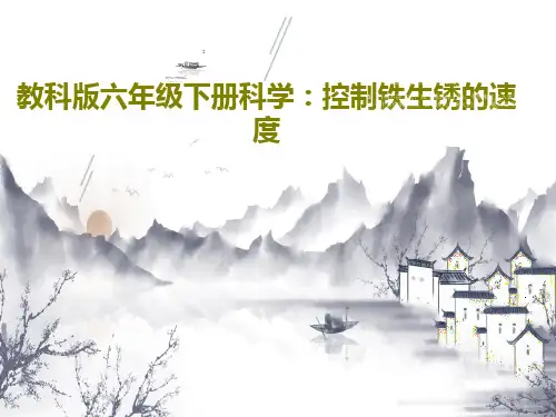 教科版六年级下册科学：控制铁生锈的速度共23页文档