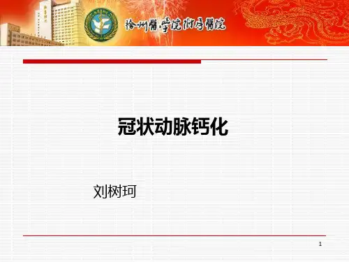 冠脉钙化PPT课件