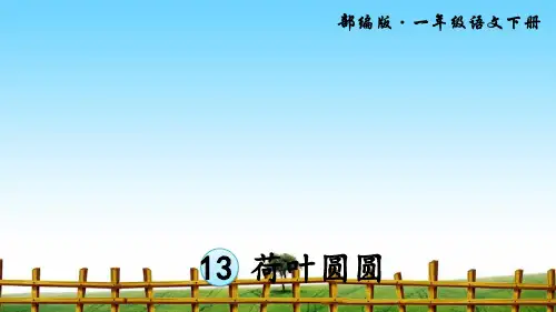 荷叶圆圆完整版PPT课件