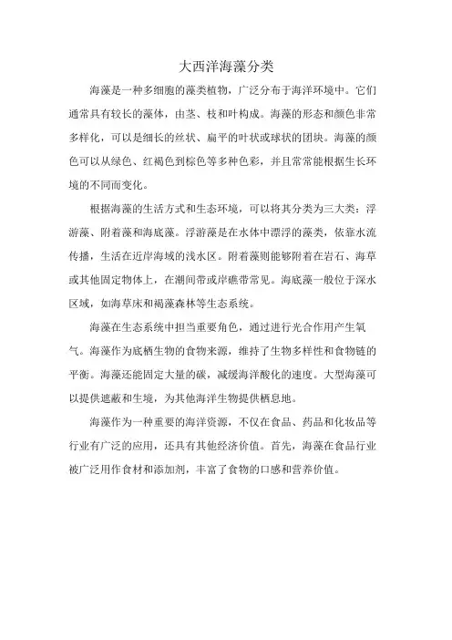 大西洋海藻分类