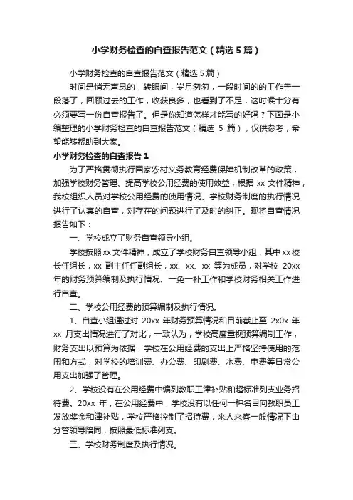 小学财务检查的自查报告范文（精选5篇）
