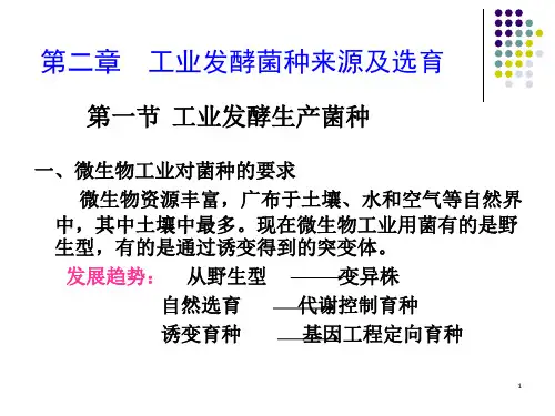 《工业发酵菌种选育》PPT课件