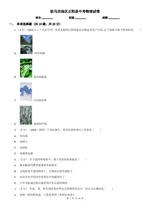 驻马店地区正阳县中考物理试卷  