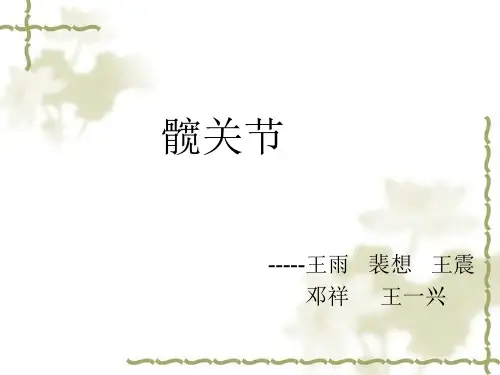 髋关节PPT课件