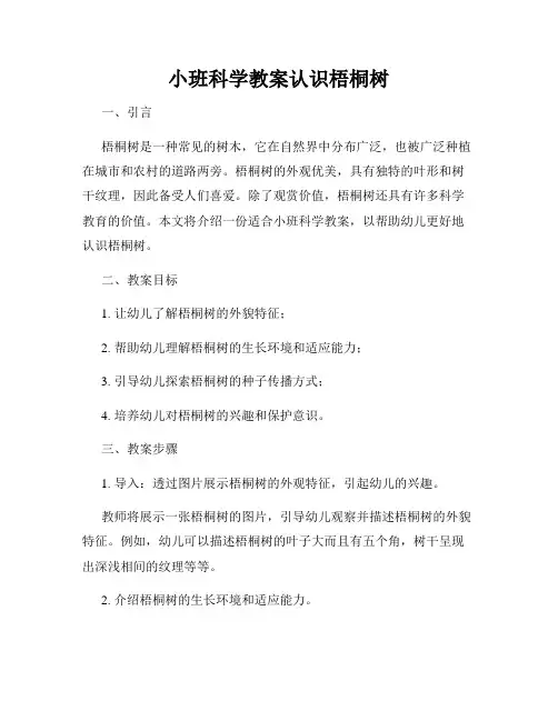 小班科学教案认识梧桐树