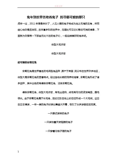 兔年到世界各地看兔子找寻最可爱的那只