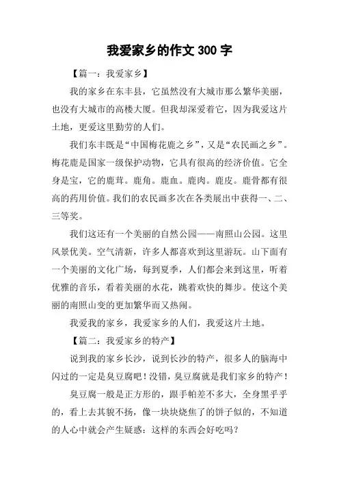 我爱家乡的作文300字