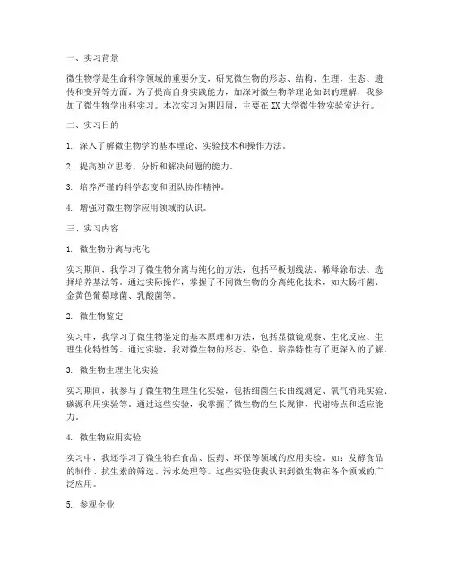 微生物出科实习报告