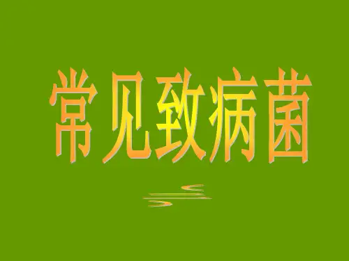 常见致病菌精品PPT课件