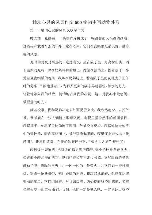 触动心灵的风景作文600字初中写动物外形
