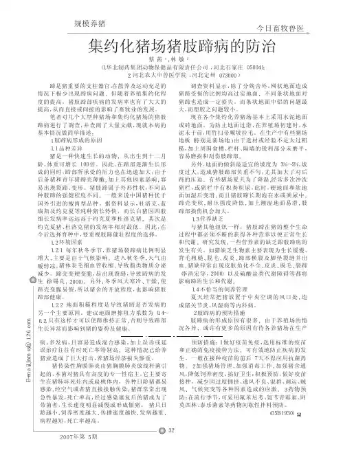 集约化猪场猪肢蹄病的防治