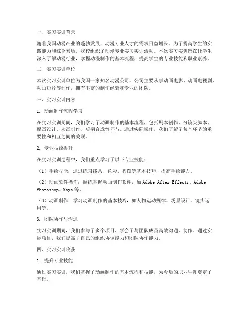 动漫专业实习实训报告