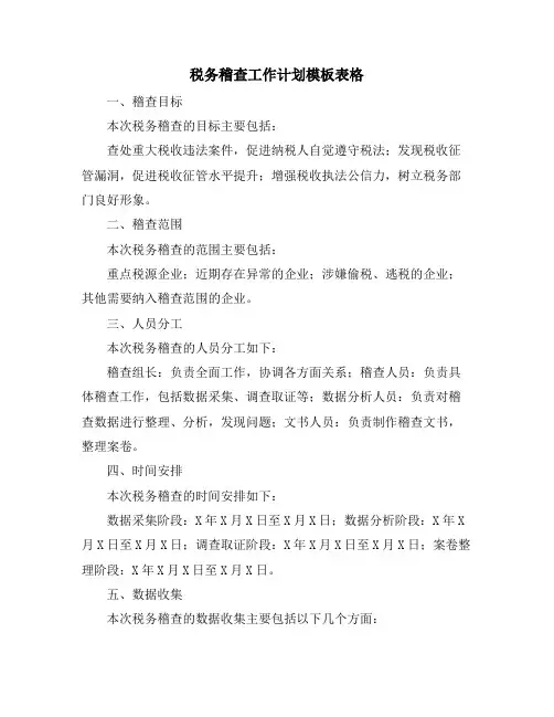 税务稽查工作计划模板表格