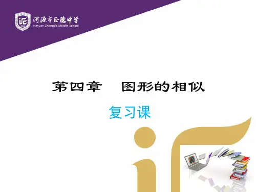 广东省河源市正德中学北师大版九年级数学上册课件：第四章 图形相似 复习课