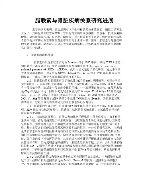 脂联素与肾脏疾病关系研究进展