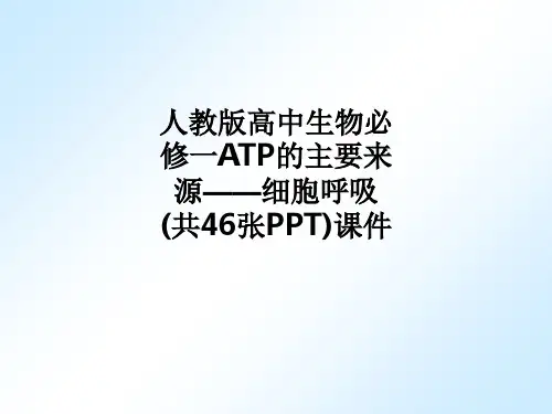 [医学]人教版高中生物必修一ATP的主要来源——细胞呼吸(共46张PPT)课件