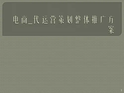 电商_代运营策划整体推广方案.pptx