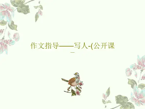 作文指导——写人-(公开课33页PPT
