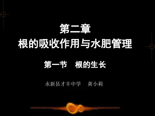 第一节根的生长II(讲课课件)