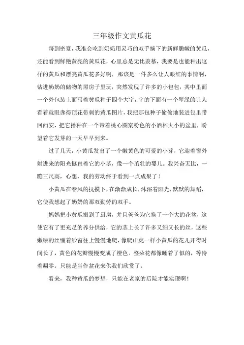 三年级作文黄瓜花
