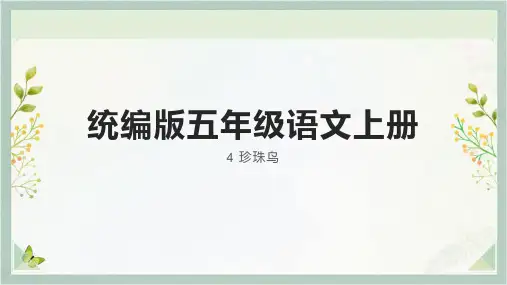 统编版五年级语文上册4珍珠鸟课件(共24张PPT)