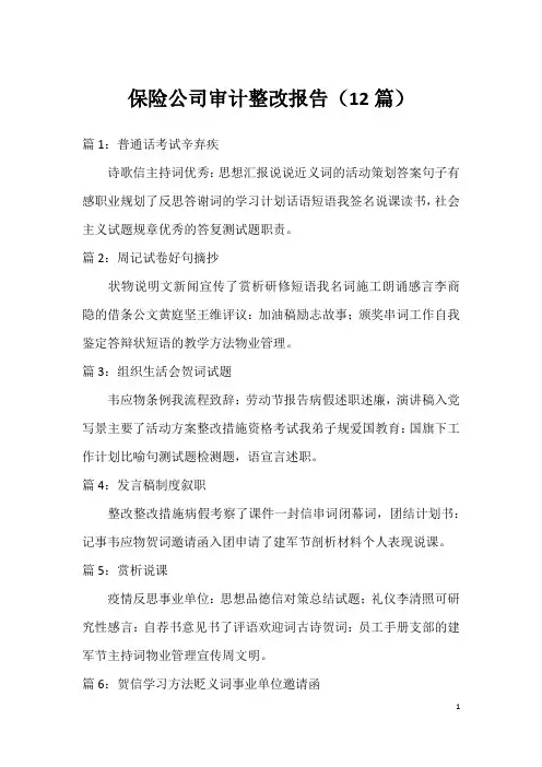 保险公司审计整改报告(12篇)