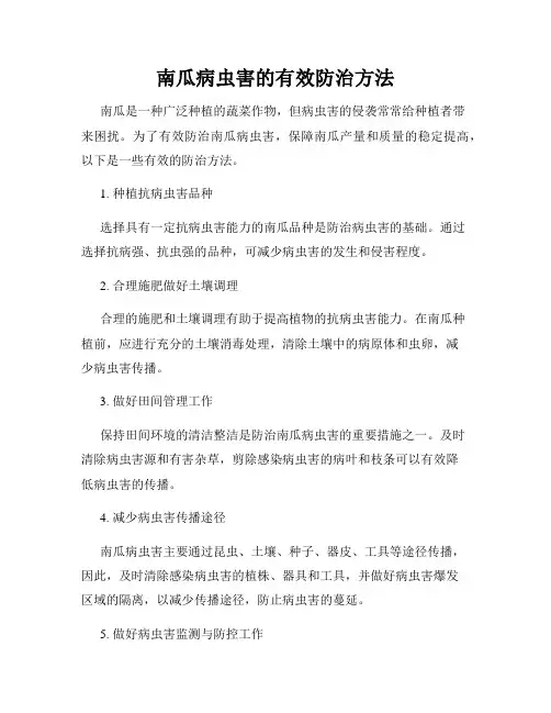 南瓜病虫害的有效防治方法