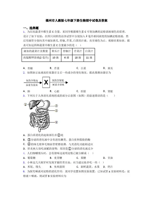 福州市人教版七年级下册生物期中试卷及答案