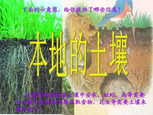 三年级科学上册3.1本地的土壤PPT课件1湘教版