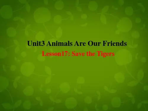 八年级英语下册 Unit 3 Animals Are Our Friends lesson 17 Save the Tigers课件 (新版)冀教版