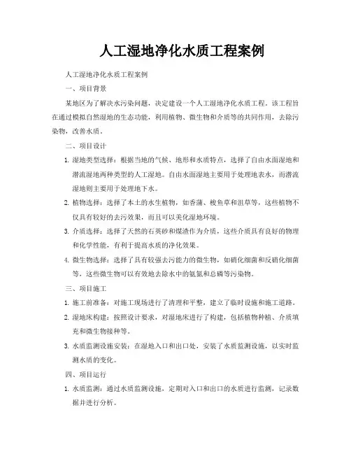 人工湿地净化水质工程案例