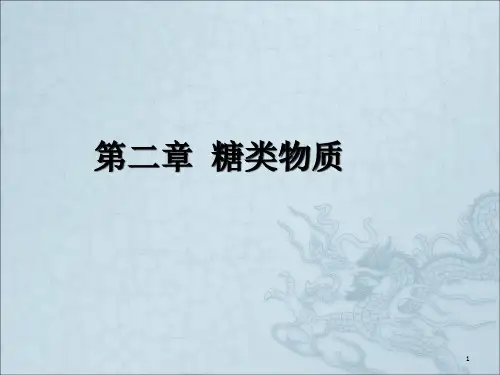 《碳水化合物》PPT课件 (2)