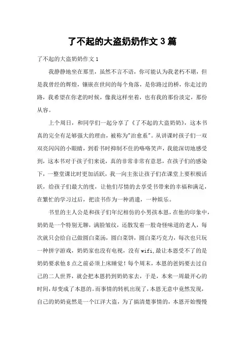 了不起的大盗奶奶作文3篇