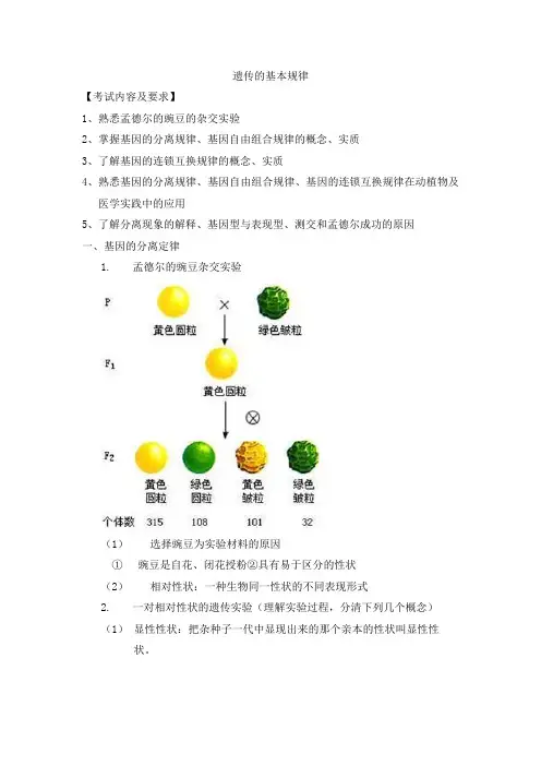 人教版生物(中职)5.2遗传的基本规律教案