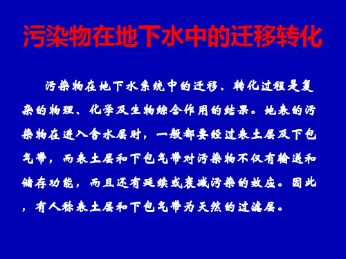 污染物在地下水系统中的迁移转化