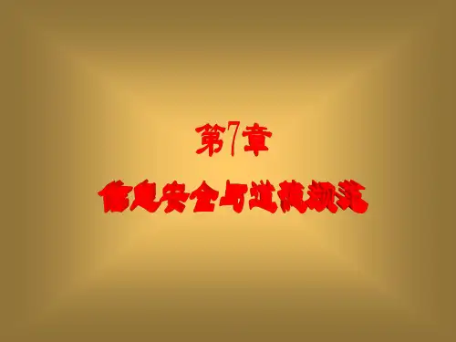 计算机导论第7章_信息安全与道德规范