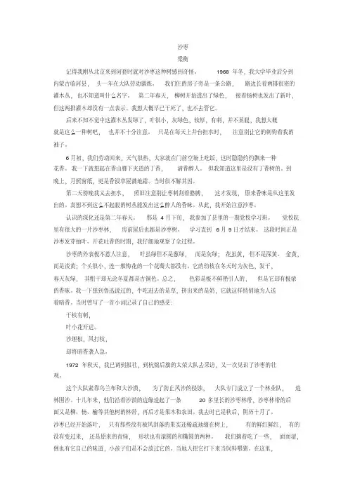 梁衡《沙枣》阅读练习及答案1