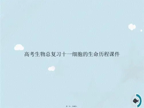 高考生物总复习十一细胞的生命历程讲课文档