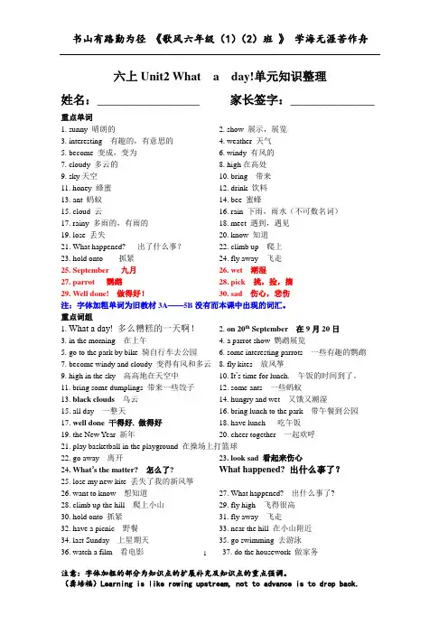译林最新版6六上Unit2单词、词组、句型、语法