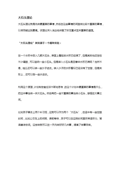 大石头理论