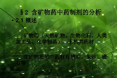 含矿物药中药.ppt