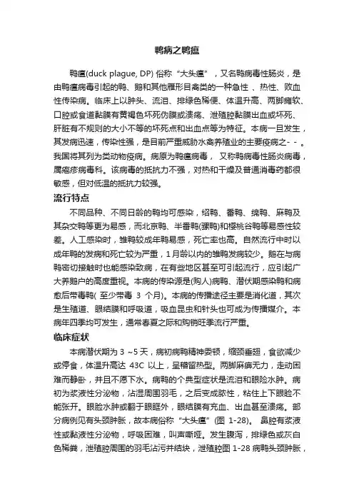 鸭病之鸭瘟