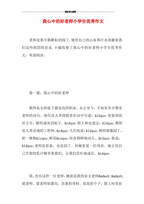 我心中的好老师小学生优秀作文