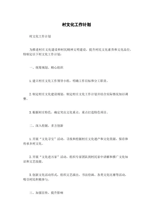 村文化工作计划