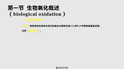 理学生物氧化与氧化磷酸化PPT课件